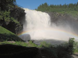 tannforsen